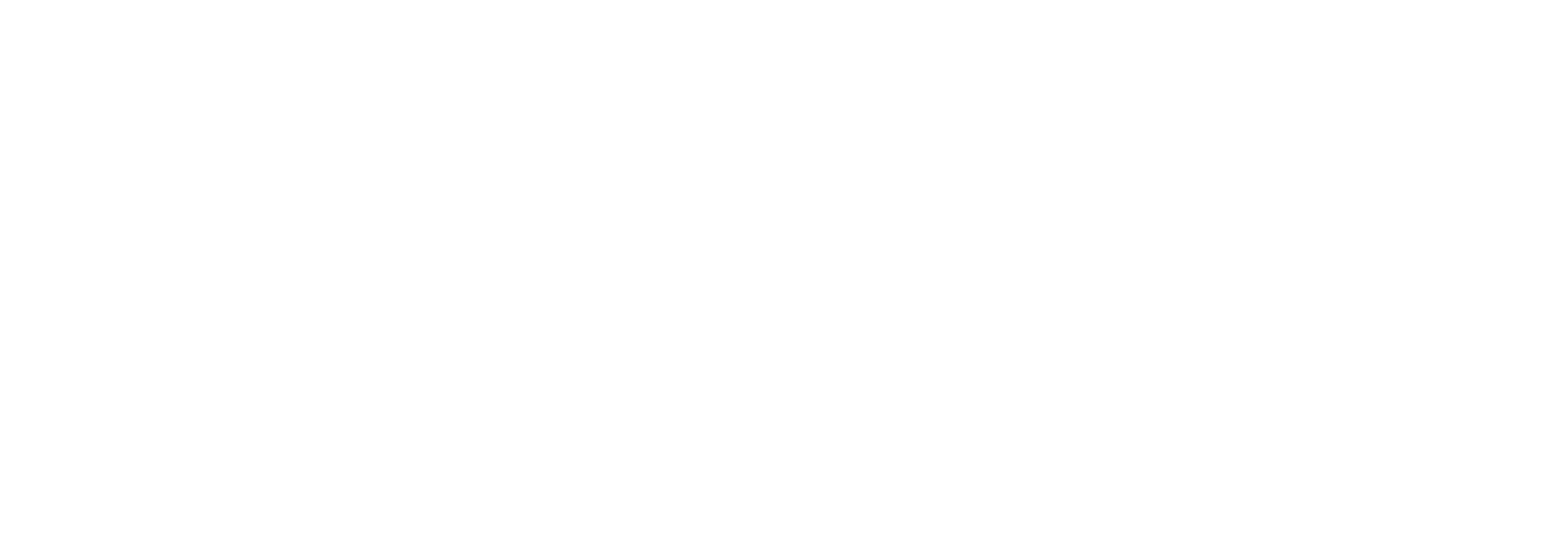 04-LOGO-DOLIN-2019-SIMPLE-Blanc