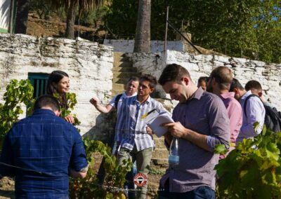 Photo lors de la Formation dans les vignes de la vallée de Douro