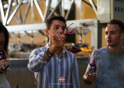 Photo de la dégustation de vin de Porto dans la vallée de Douro