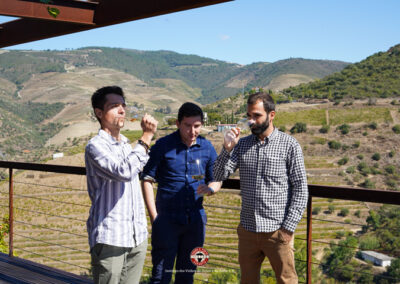 Voyage à Douro dégustation vins de porto